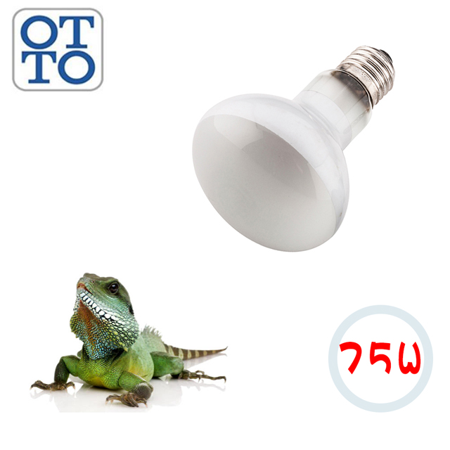 OTTO 奧圖 75W爬蟲聚熱燈泡 DL-75W(鬣蜥、鬍子龍、陸龜 等適用)