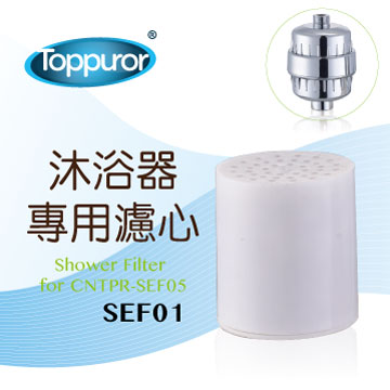 泰浦樂 Toppuror 電鍍沐浴器專用濾心