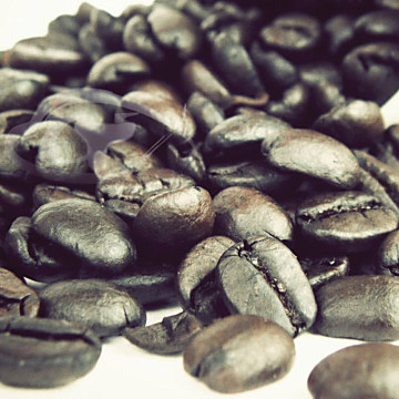【Gustare caffe】精選西達摩咖啡豆隨手包(110±5g/包)