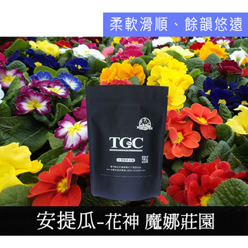 【TGC】安提瓜-花神 魔娜莊園咖啡豆(227g*2包) 買兩磅，再送精美玻璃杯