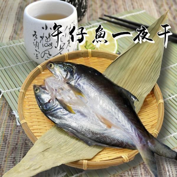大口市集-日式午仔魚一夜干(230g/尾)