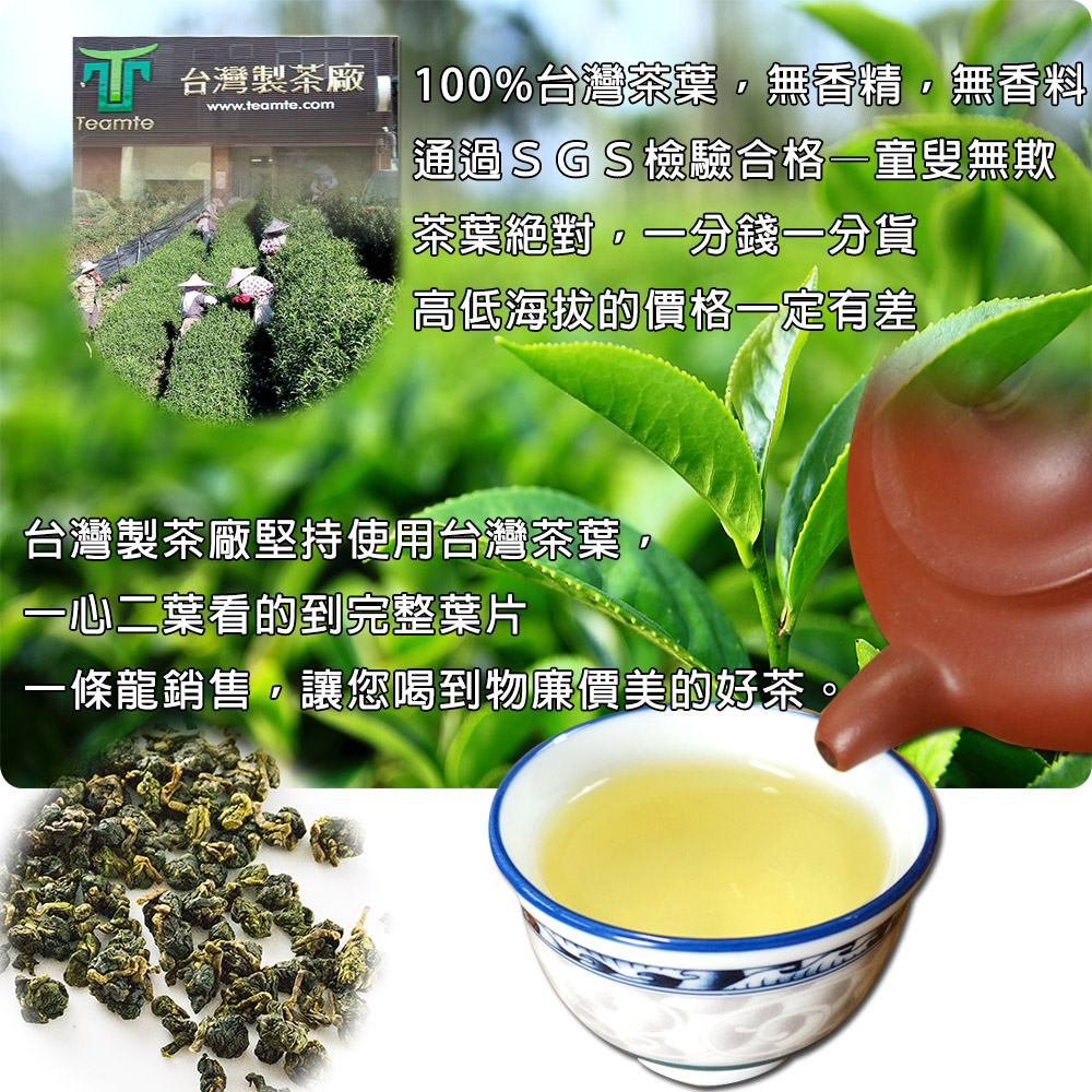 TEAMTE】台灣高山茶四季春青茶- 300g (青茶/輕發酵) - PChome 24h購物