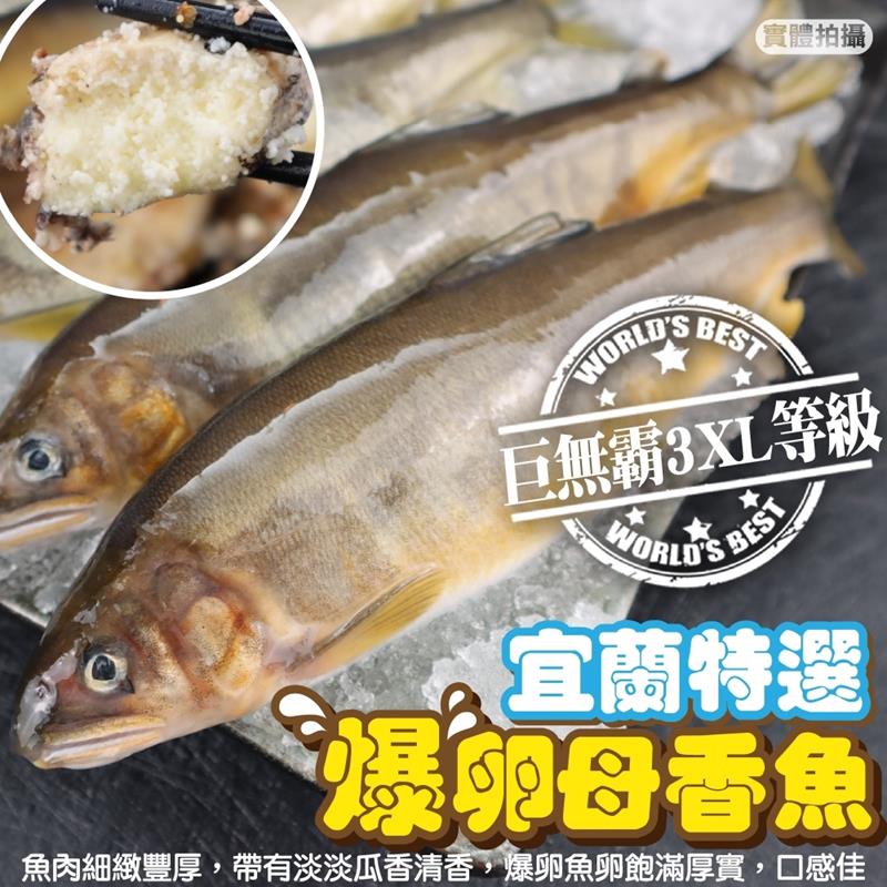【海肉管家】台灣嚴選爆卵母香魚8尾入(1盒/每盒1kg±10%)