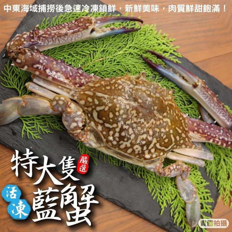 【海肉管家】活凍特大隻藍花蟹(3隻_400-450g/隻)