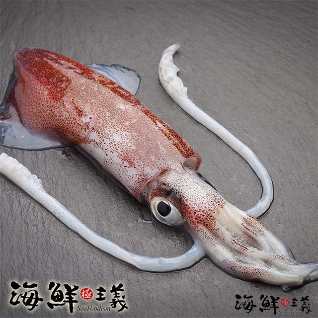鮮甜活凍透抽3包(850g±10%/包)
