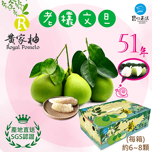 [農心未泯] 黃家柚50年老欉文旦5斤精美禮盒(約6~8顆/5斤裝)