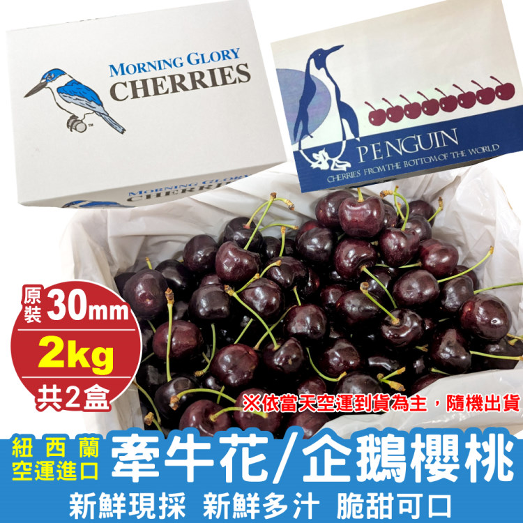 【WANG 蔬果】紐西蘭牽牛花/企鵝30mm櫻桃(2盒_原裝2kg禮盒)