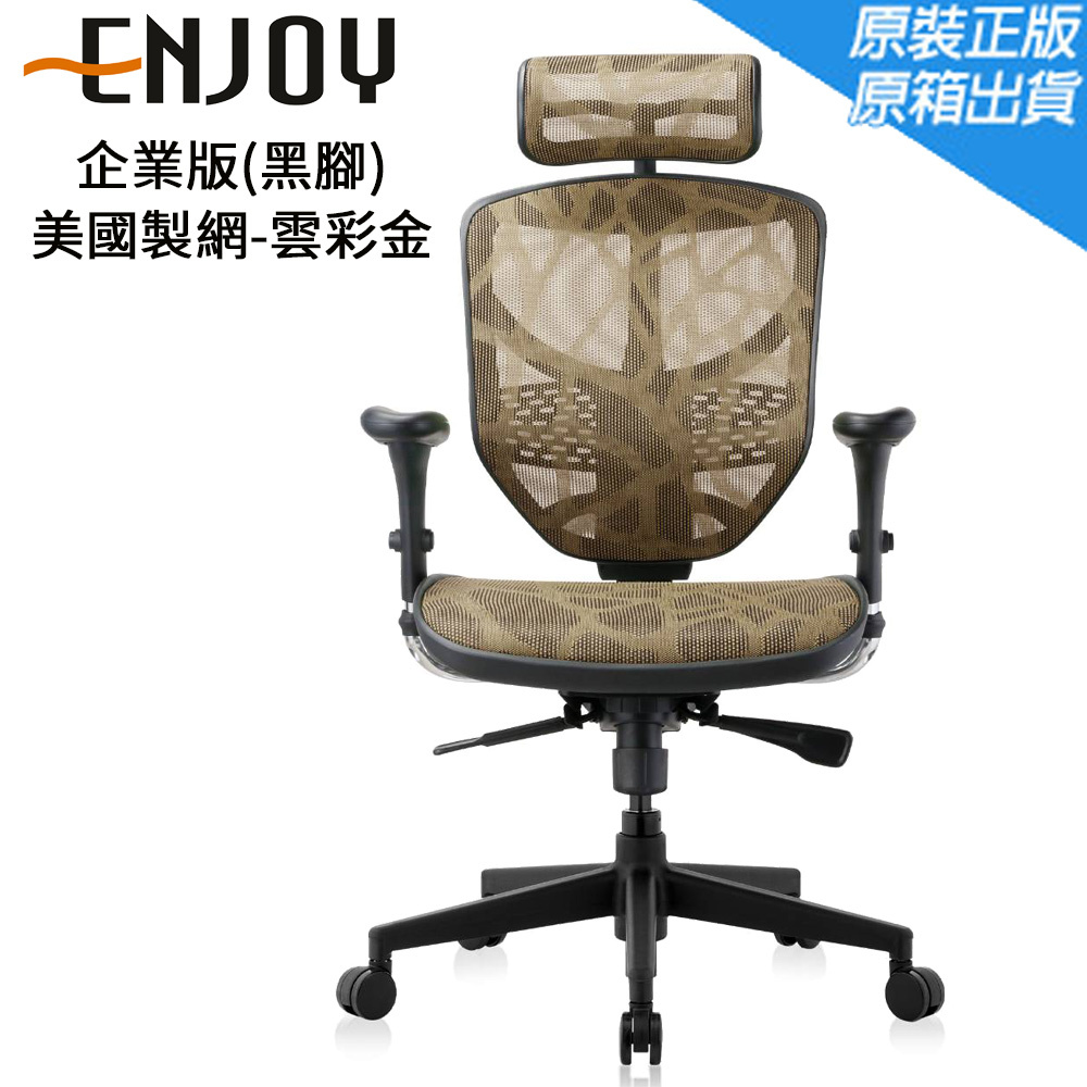 Enjoy 企業版(黑腳)人體工學椅/辦公椅/電腦椅-美國製網-雲彩金/ZB8