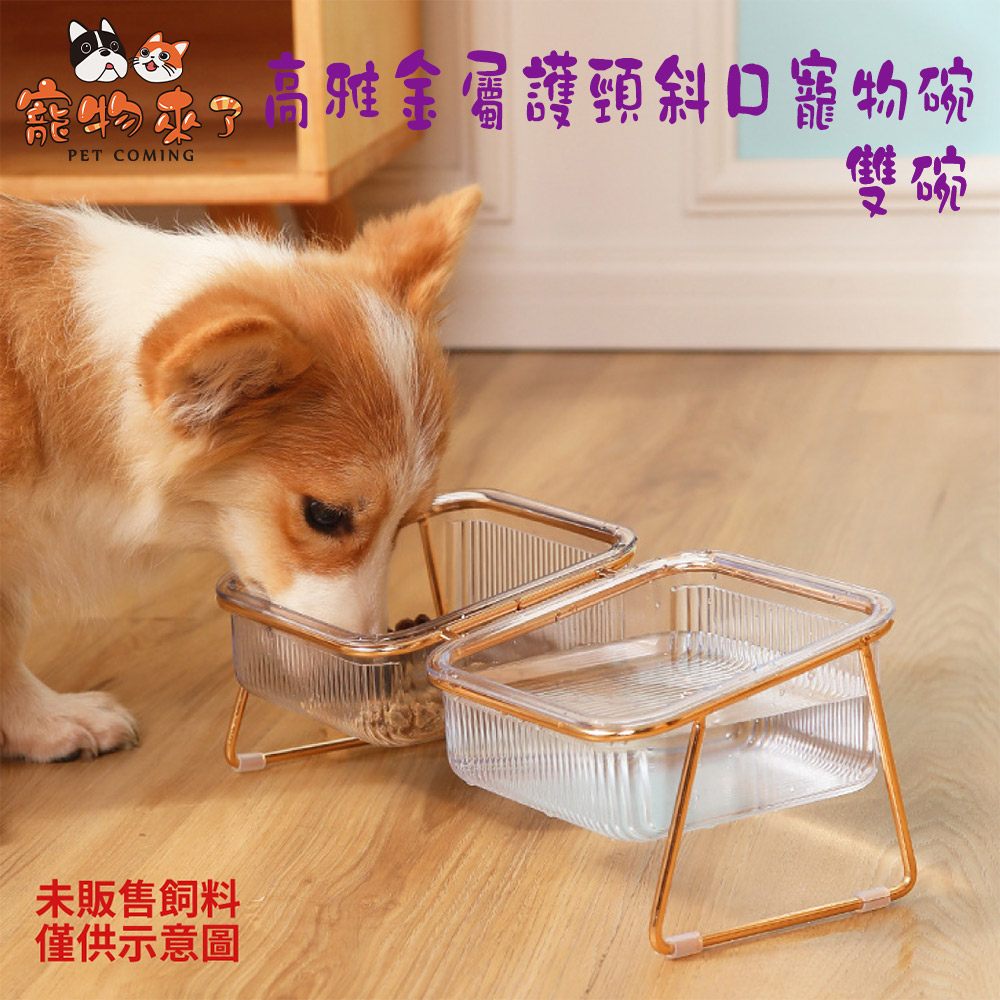寵物來了高雅金屬護頸斜口寵物碗 雙碗jz C1751 Pchome 24h購物