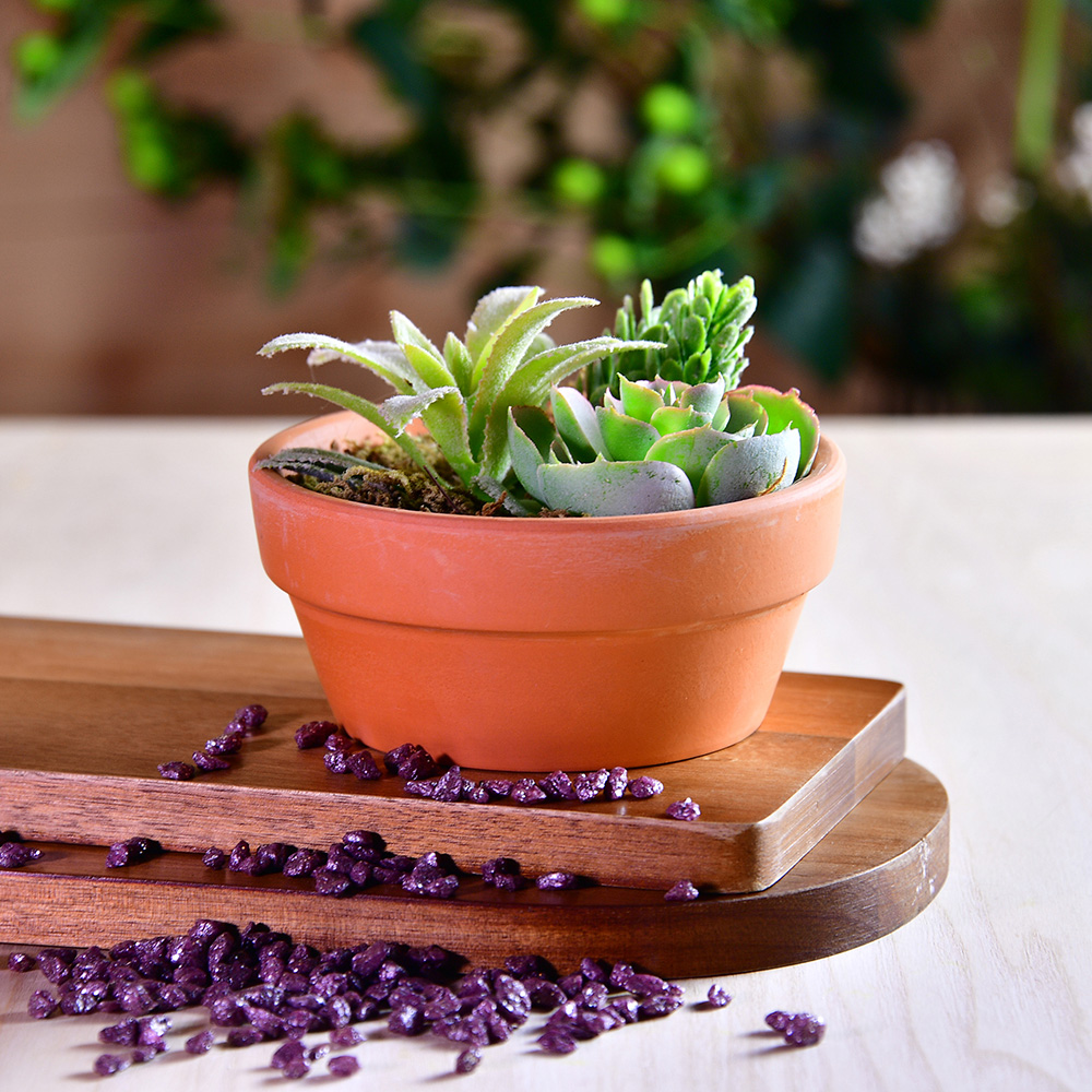 迷你仿真多肉植物盆栽 附盆 Pchome 24h購物