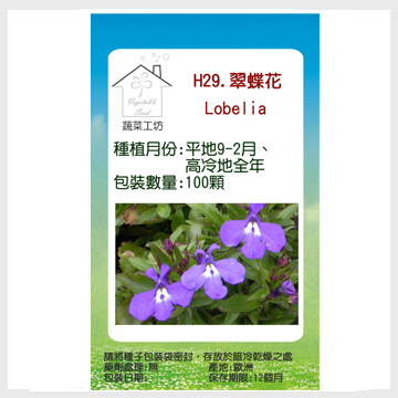 蔬菜工坊 H29 翠蝶花 蔓性 種子 Pchome 24h購物