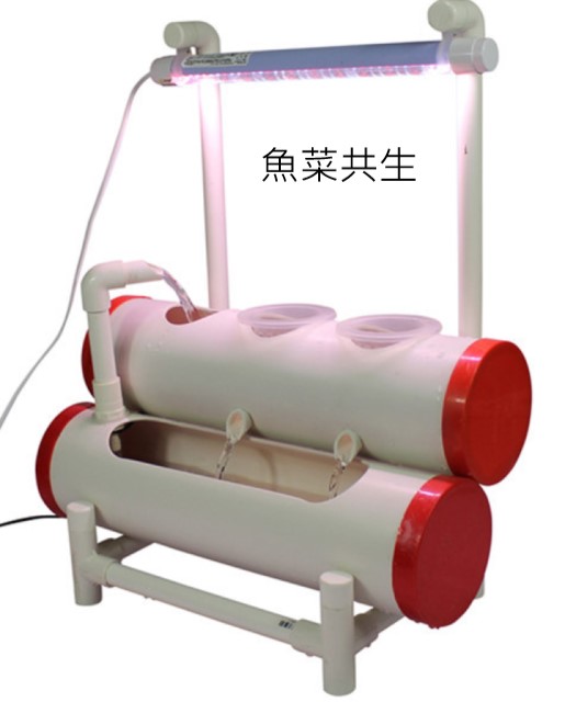 桌面魚菜共生水耕植物無土栽培自動化栽培機 Pchome 24h購物
