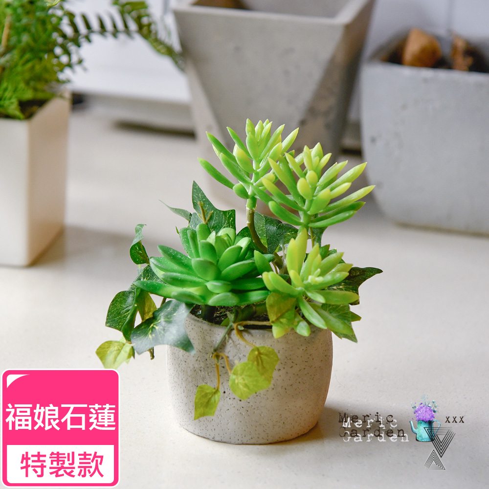 Meric Garden 高仿真多肉植物療癒手工水泥小盆栽 福娘石蓮特製款 Pchome 24h購物