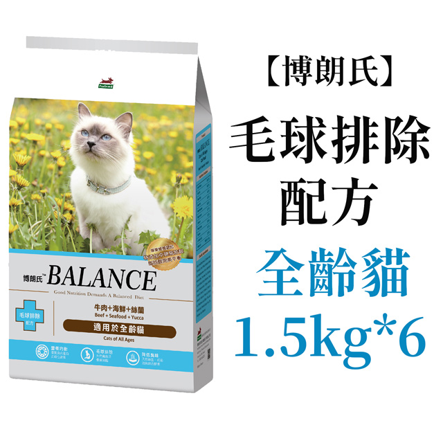 My Image 11