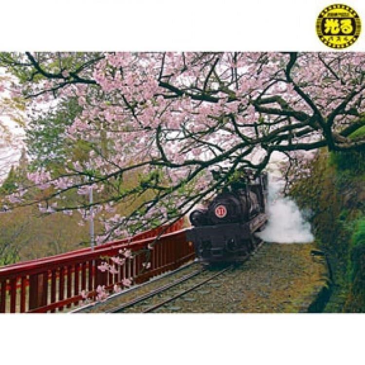 台製拼圖-台灣之美-嘉義阿里山蒸汽火車 520片夜光拼圖 K25-006