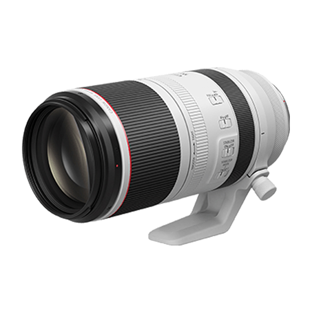 Canon RF 100-500mm f/4.5-7.1L IS USM 公司貨