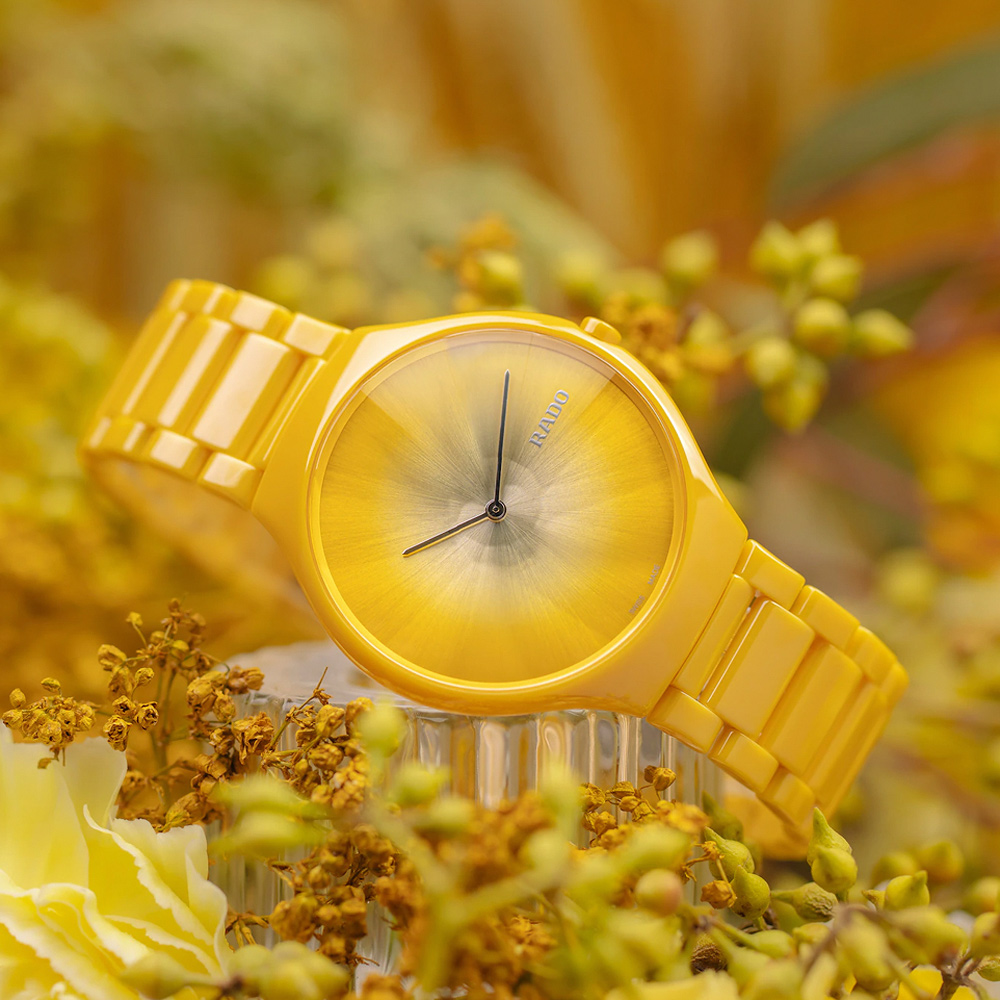 RADO 雷達 真薄系列 世界花園 限量 高科技陶瓷石英腕錶 R03 R27122252