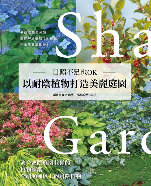 日照不足也ok 以耐陰植物打造美麗庭園 Pchome 24h書店