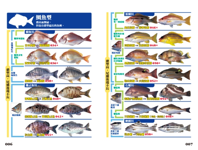 海水魚完全識別圖解 267種海水魚全解析 Pchome 24h書店