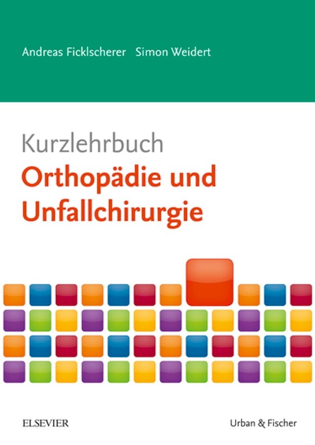 Kurzlehrbuch Orthopädie Und Unfallchirurgie - PChome 24h書店