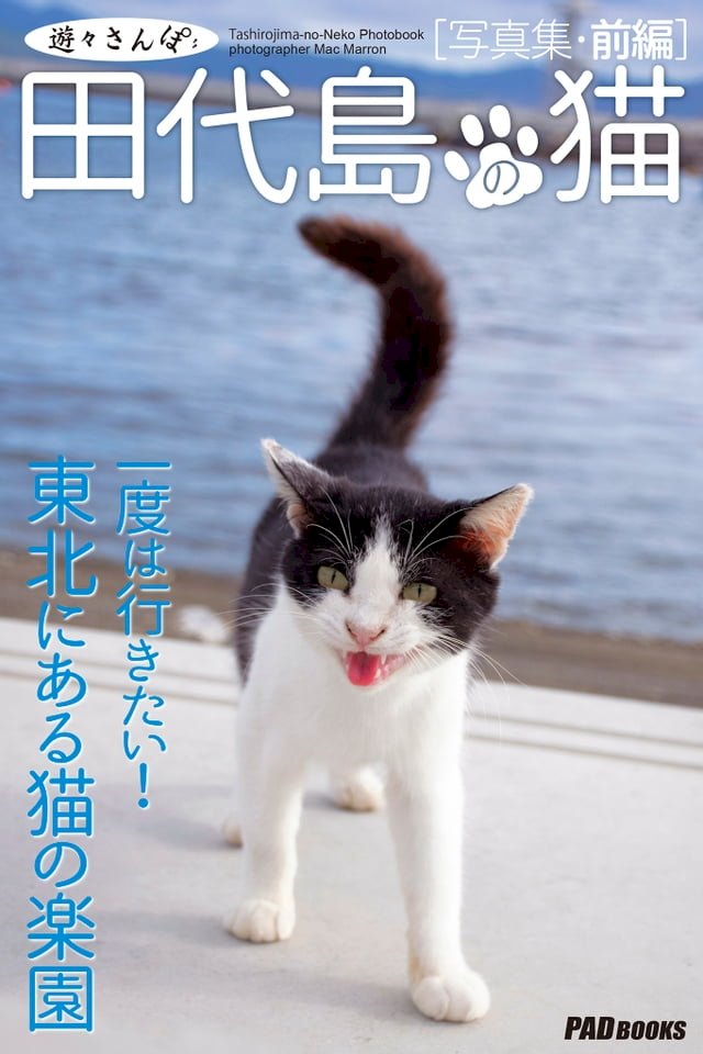 遊々さんぽ 田代島の猫 写真集前編 Pchome 24h書店 遊々さんぽ 田代島の猫 写真集前編 Pchome 24h書店
