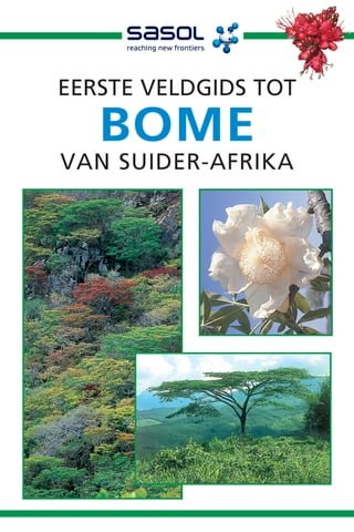 Eerste Veldgids tot Bome van Suider-Afrika(Kobo/電子書)
