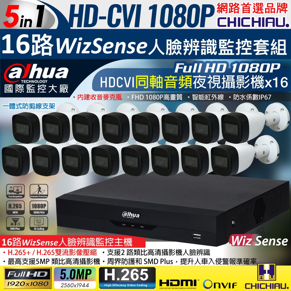 【CHICHIAU】Dahua大華 5MP 16路CVI 1080P數位遠端監控套組(含2MP同軸音頻紅外線攝影機x16)