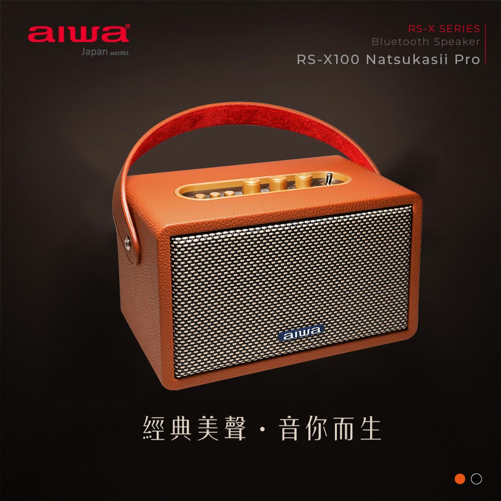 aiwa愛華 藍牙音箱 RS-X100 (棕色)
