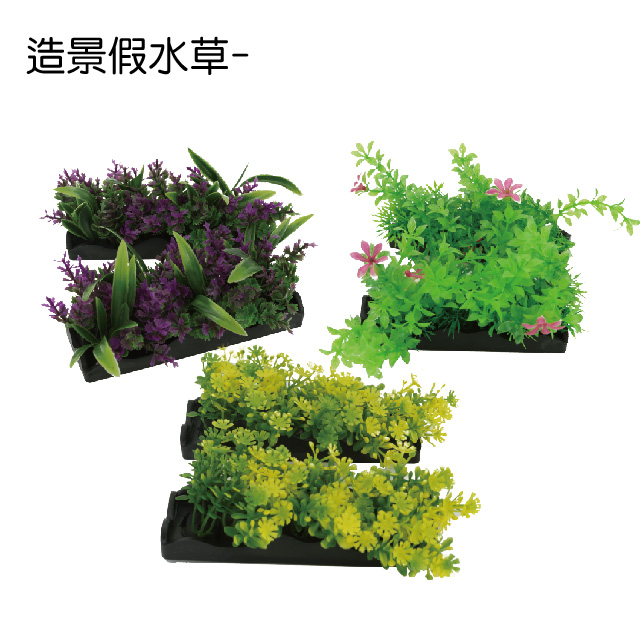 造景水草 Pchome 24h購物 造景水草 Pchome 24h購物