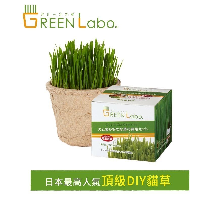 2入組) GREEN Labo-日本DIY新鮮貓草- PChome 24h購物