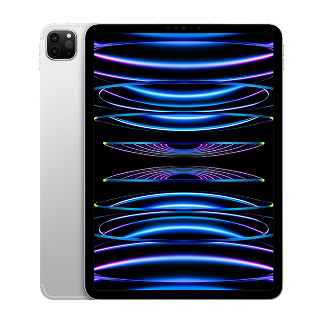 2022 Apple iPad Pro 11吋 256G LTE 銀 (MNYF3TA/A)