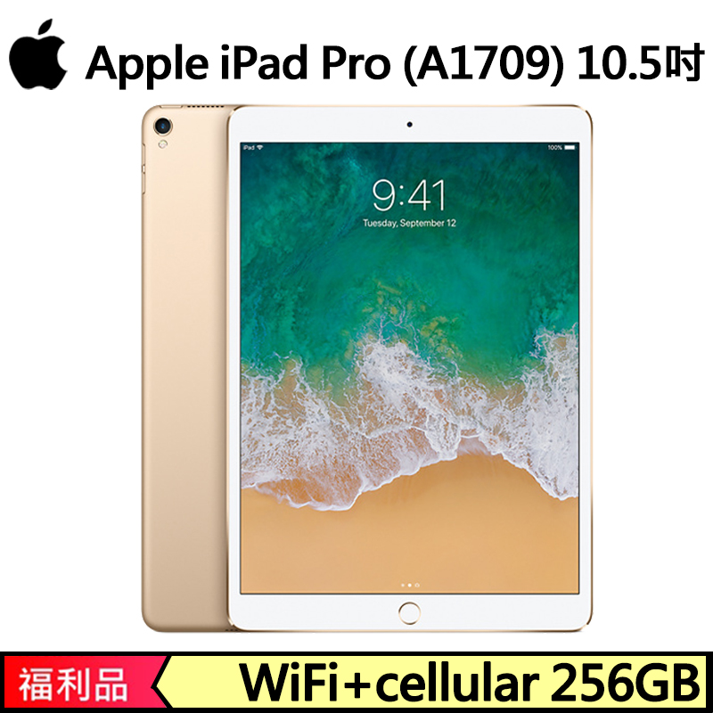 iPad Pro10.5インチWi-Fiモデル 256G-