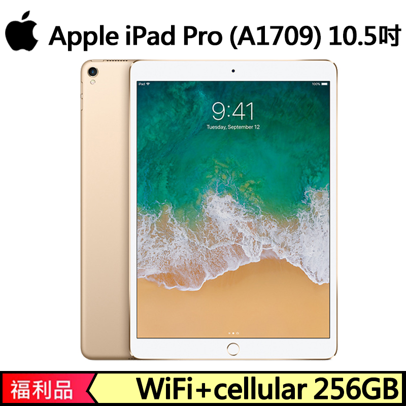 売れ筋ランキング iPad Pro 10.5インチ 256GB A1709 asakusa.sub.jp