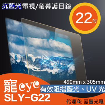22吋 抗藍光液晶電視/螢幕護目鏡 (SLY-G22)