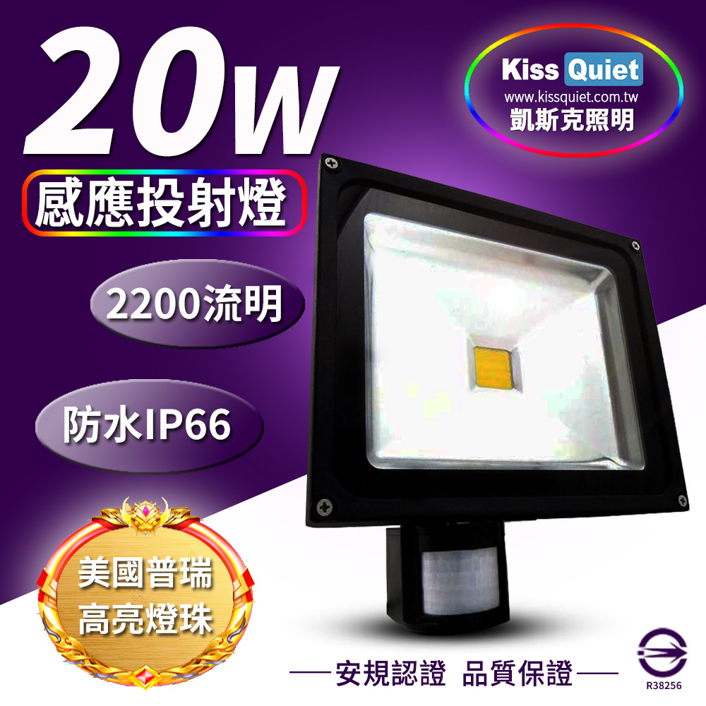 《Kiss Quiet》 質感黑(白光/黄光)20W LED感應投射燈,全電壓高PF-1入